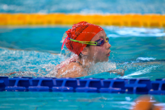 XXVIII Gran Premio Shark20-21 Dicembre 2025Piscina Scandone Napoli