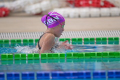 XXVIII Gran Premio Shark20-21 Dicembre 2025Piscina Scandone Napoli