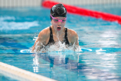 XXVIII Gran Premio Shark
20-21 Dicembre 2025
Piscina Scandone Napoli