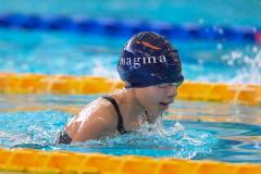 XXVIII Gran Premio Shark
20-21 Dicembre 2025
Piscina Scandone Napoli