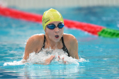 XXVIII Gran Premio Shark
20-21 Dicembre 2025
Piscina Scandone Napoli