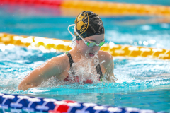 XXVIII Gran Premio Shark
20-21 Dicembre 2025
Piscina Scandone Napoli