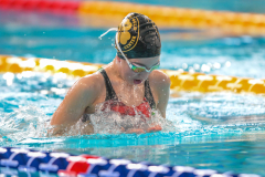 XXVIII Gran Premio Shark
20-21 Dicembre 2025
Piscina Scandone Napoli