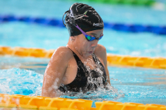 XXVIII Gran Premio Shark
20-21 Dicembre 2025
Piscina Scandone Napoli