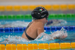 XXVIII Gran Premio Shark
20-21 Dicembre 2025
Piscina Scandone Napoli