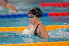 XXVIII Gran Premio Shark
20-21 Dicembre 2025
Piscina Scandone Napoli