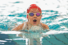 XXVIII Gran Premio Shark20-21 Dicembre 2025Piscina Scandone Napoli