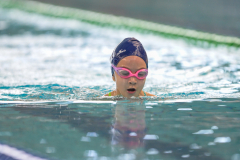 XXVIII Gran Premio Shark20-21 Dicembre 2025Piscina Scandone Napoli