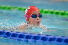 XXVIII Gran Premio Shark20-21 Dicembre 2025Piscina Scandone Napoli