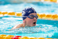 XXVIII Gran Premio Shark20-21 Dicembre 2025Piscina Scandone Napoli