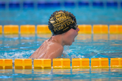 XXVIII Gran Premio Shark20-21 Dicembre 2025Piscina Scandone Napoli