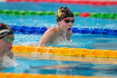 XXVIII Gran Premio Shark20-21 Dicembre 2025Piscina Scandone Napoli