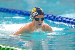 XXVIII Gran Premio Shark20-21 Dicembre 2025Piscina Scandone Napoli