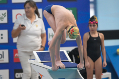 XXVIII Gran Premio Shark
20-21 Dicembre 2025
Piscina Scandone Napoli