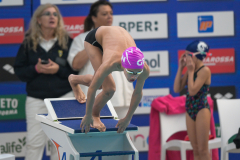 XXVIII Gran Premio Shark
20-21 Dicembre 2025
Piscina Scandone Napoli