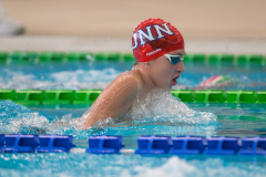 XXVIII Gran Premio Shark
20-21 Dicembre 2025
Piscina Scandone Napoli