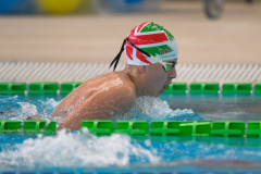 XXVIII Gran Premio Shark
20-21 Dicembre 2025
Piscina Scandone Napoli