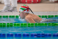 XXVIII Gran Premio Shark
20-21 Dicembre 2025
Piscina Scandone Napoli