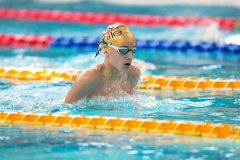 XXVIII Gran Premio Shark
20-21 Dicembre 2025
Piscina Scandone Napoli