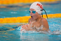 XXVIII Gran Premio Shark20-21 Dicembre 2025Piscina Scandone Napoli