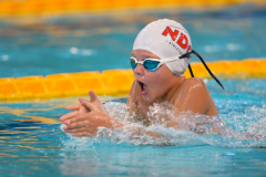 XXVIII Gran Premio Shark20-21 Dicembre 2025Piscina Scandone Napoli