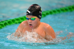 XXVIII Gran Premio Shark20-21 Dicembre 2025Piscina Scandone Napoli