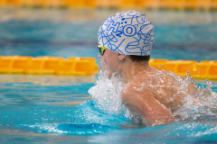 XXVIII Gran Premio Shark
20-21 Dicembre 2025
Piscina Scandone Napoli