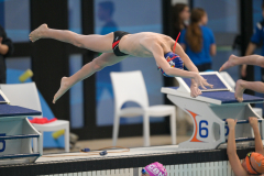 XXVIII Gran Premio Shark
20-21 Dicembre 2025
Piscina Scandone Napoli