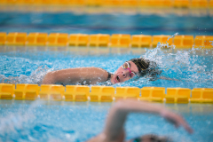 XXVIII Gran Premio Shark
20-21 Dicembre 2025
Piscina Scandone Napoli