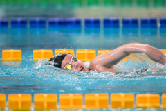 XXVIII Gran Premio Shark
20-21 Dicembre 2025
Piscina Scandone Napoli