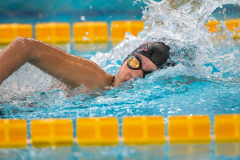 XXVIII Gran Premio Shark
20-21 Dicembre 2025
Piscina Scandone Napoli