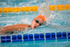 XXVIII Gran Premio Shark
20-21 Dicembre 2025
Piscina Scandone Napoli