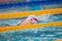 XXVIII Gran Premio Shark
20-21 Dicembre 2025
Piscina Scandone Napoli