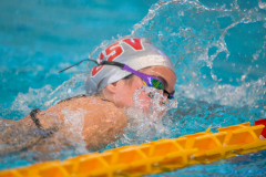 XXVIII Gran Premio Shark
20-21 Dicembre 2025
Piscina Scandone Napoli