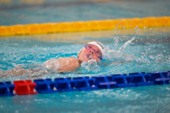 XXVIII Gran Premio Shark
20-21 Dicembre 2025
Piscina Scandone Napoli