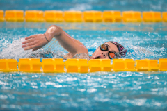 XXVIII Gran Premio Shark
20-21 Dicembre 2025
Piscina Scandone Napoli