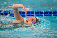 XXVIII Gran Premio Shark
20-21 Dicembre 2025
Piscina Scandone Napoli