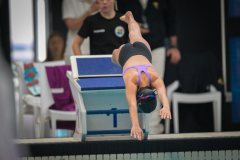 XXVIII Gran Premio Shark
20-21 Dicembre 2025
Piscina Scandone Napoli