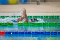 XXVIII Gran Premio Shark
20-21 Dicembre 2025
Piscina Scandone Napoli