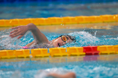 XXVIII Gran Premio Shark
20-21 Dicembre 2025
Piscina Scandone Napoli