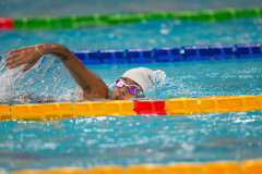 XXVIII Gran Premio Shark
20-21 Dicembre 2025
Piscina Scandone Napoli