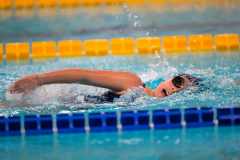 XXVIII Gran Premio Shark
20-21 Dicembre 2025
Piscina Scandone Napoli