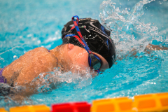 XXVIII Gran Premio Shark
20-21 Dicembre 2025
Piscina Scandone Napoli