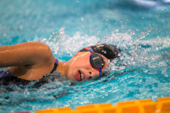 XXVIII Gran Premio Shark
20-21 Dicembre 2025
Piscina Scandone Napoli