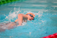 XXVIII Gran Premio Shark20-21 Dicembre 2025Piscina Scandone Napoli