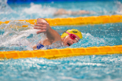 XXVIII Gran Premio Shark20-21 Dicembre 2025Piscina Scandone Napoli