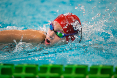 XXVIII Gran Premio Shark20-21 Dicembre 2025Piscina Scandone Napoli