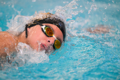 XXVIII Gran Premio Shark20-21 Dicembre 2025Piscina Scandone Napoli