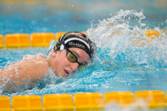 XXVIII Gran Premio Shark
20-21 Dicembre 2025
Piscina Scandone Napoli