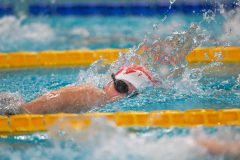 XXVIII Gran Premio Shark
20-21 Dicembre 2025
Piscina Scandone Napoli